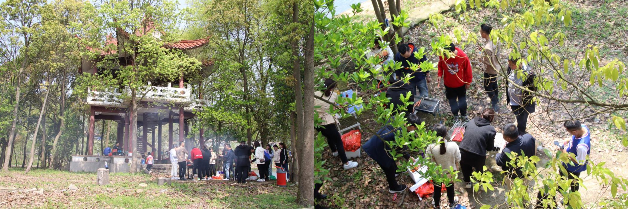 "Green Mountains and Clear Waters, Coming for You" Spring Outing Group Building Activity